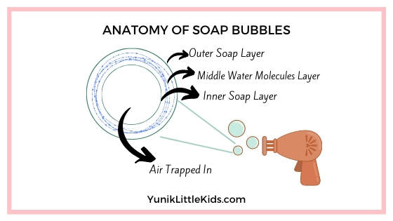 Anatomy of soap bubbles