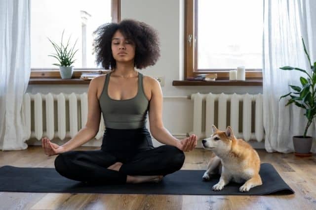 Lady meditating with a dog